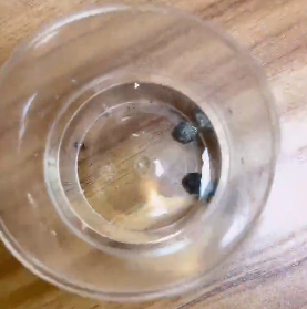 <a href='http://www.cqstc.com.cn' title='危險品貨代' >危險品貨代</a>